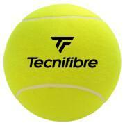 Duża piłka tenisowa Tecnifibre 24 cm